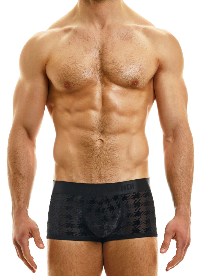 https://www.boutique-poppers.fr/shop/images/product_images/popup_images/06321-modus-vivendi-pied-depoule-boxer-black__1.jpg