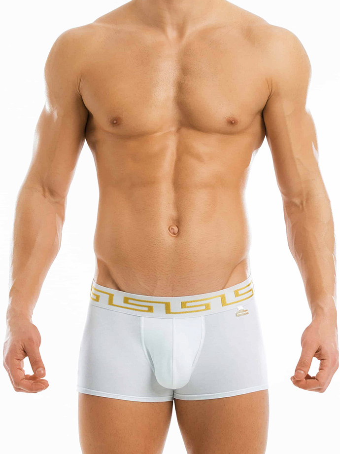 https://www.boutique-poppers.fr/shop/images/product_images/popup_images/11621-modus-vivendi-meander-boxer-white__1.jpg