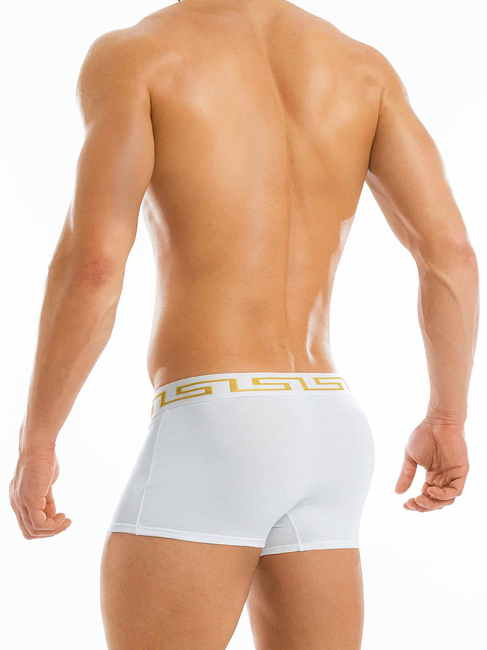 https://www.boutique-poppers.fr/shop/images/product_images/popup_images/11621-modus-vivendi-meander-boxer-white__3.jpg