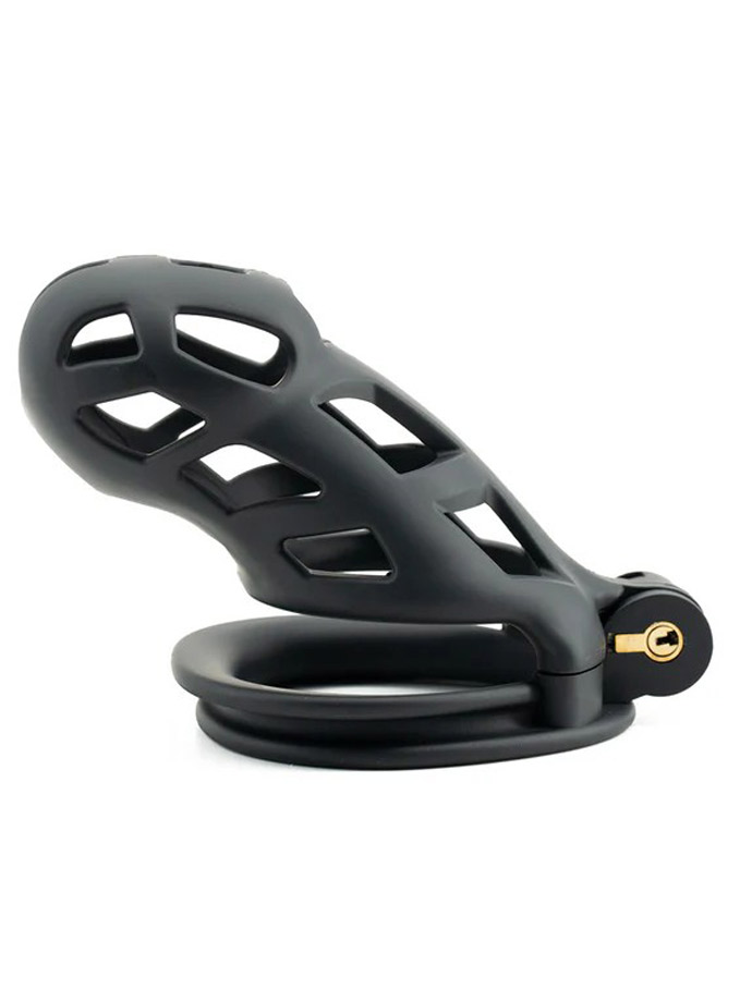 https://www.boutique-poppers.fr/shop/images/product_images/popup_images/20353-cage-large__1.jpg
