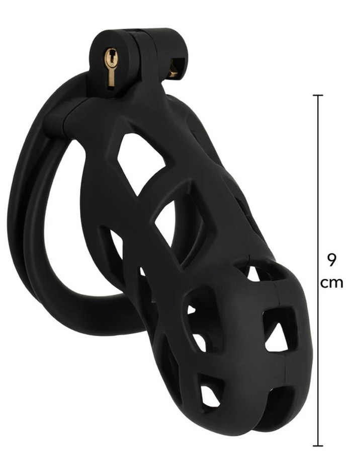 https://www.boutique-poppers.fr/shop/images/product_images/popup_images/20353-cage-large__2.jpg