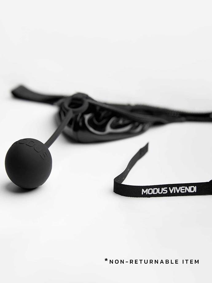 https://www.boutique-poppers.fr/shop/images/product_images/popup_images/22222-modus-vivendi-pleasure-thong-leather__4.jpg