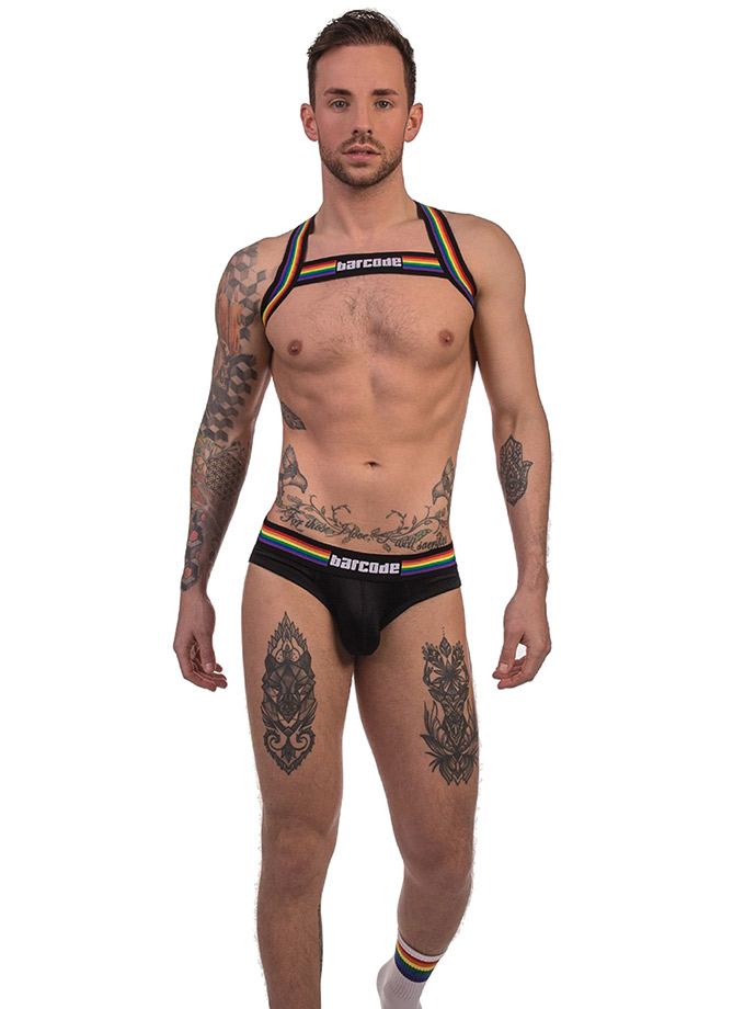 https://www.boutique-poppers.fr/shop/images/product_images/popup_images/91745-harness-black-pride-barcode-berlin.jpg