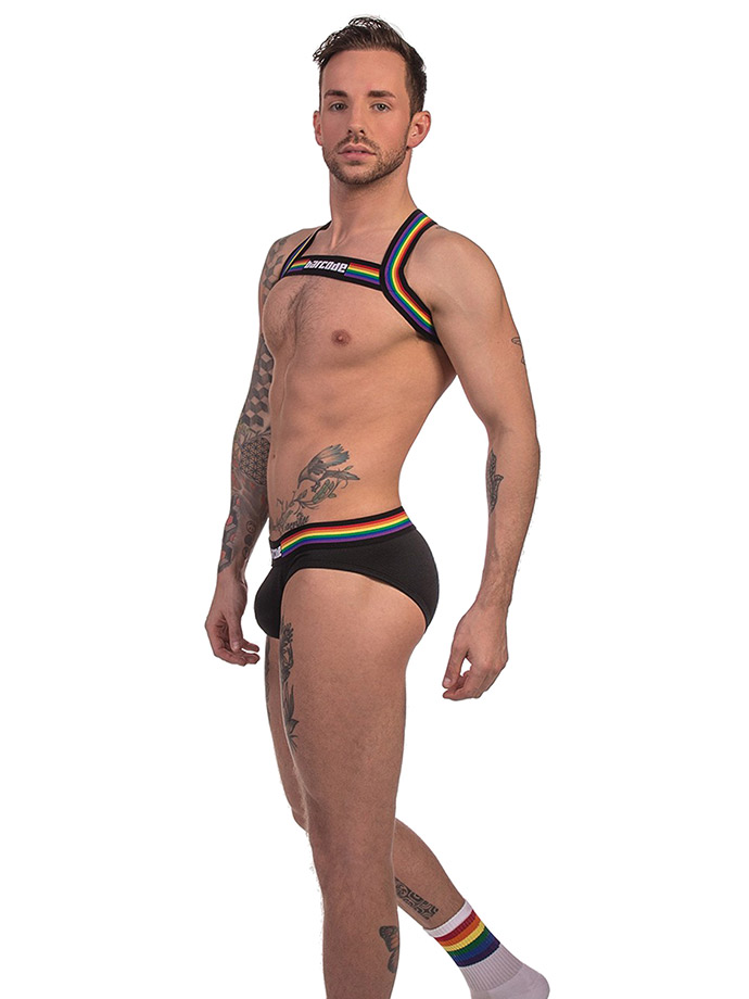 https://www.boutique-poppers.fr/shop/images/product_images/popup_images/91745-harness-black-pride-barcode-berlin__1.jpg