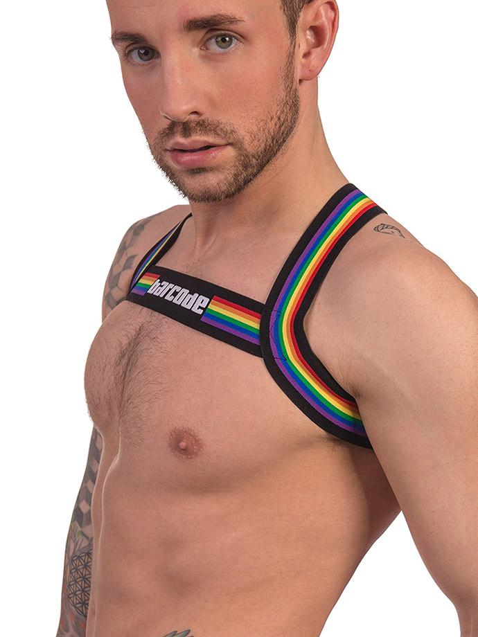 https://www.boutique-poppers.fr/shop/images/product_images/popup_images/91745-harness-black-pride-barcode-berlin__2.jpg