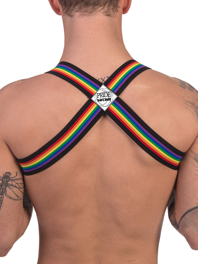 https://www.boutique-poppers.fr/shop/images/product_images/popup_images/91745-harness-black-pride-barcode-berlin__3.jpg