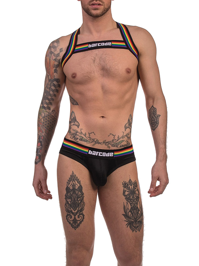 https://www.boutique-poppers.fr/shop/images/product_images/popup_images/91745-harness-black-pride-barcode-berlin__4.jpg