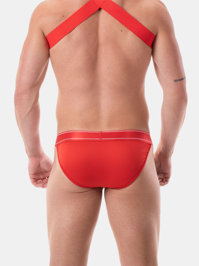 https://www.boutique-poppers.fr/shop/images/product_images/popup_images/91950-brief-tjure-red__3.jpg