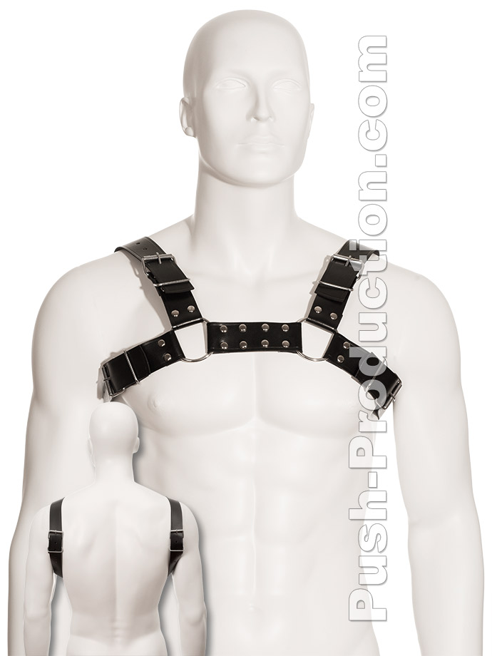 https://www.boutique-poppers.fr/shop/images/product_images/popup_images/black-bull-dog-harness-leather.jpg
