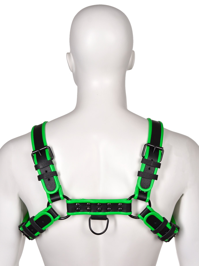 https://www.boutique-poppers.fr/shop/images/product_images/popup_images/bulldog-leather-harness-black-green-schwarz-gruen-leder__1.jpg