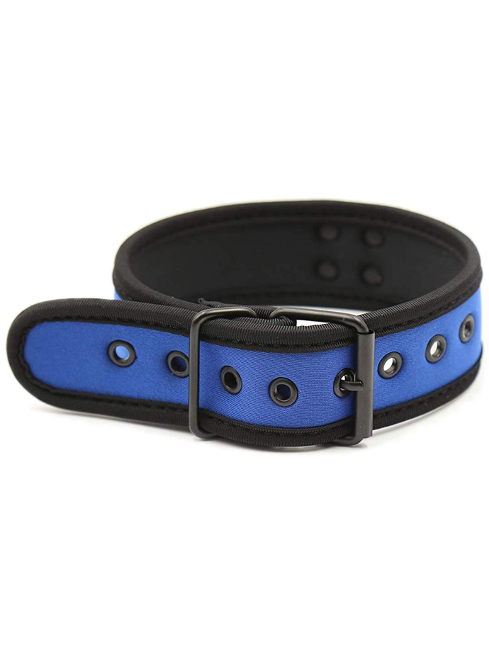 https://www.boutique-poppers.fr/shop/images/product_images/popup_images/collar-neopren-pupplay-puppy-choker-costume-blue__2.jpg