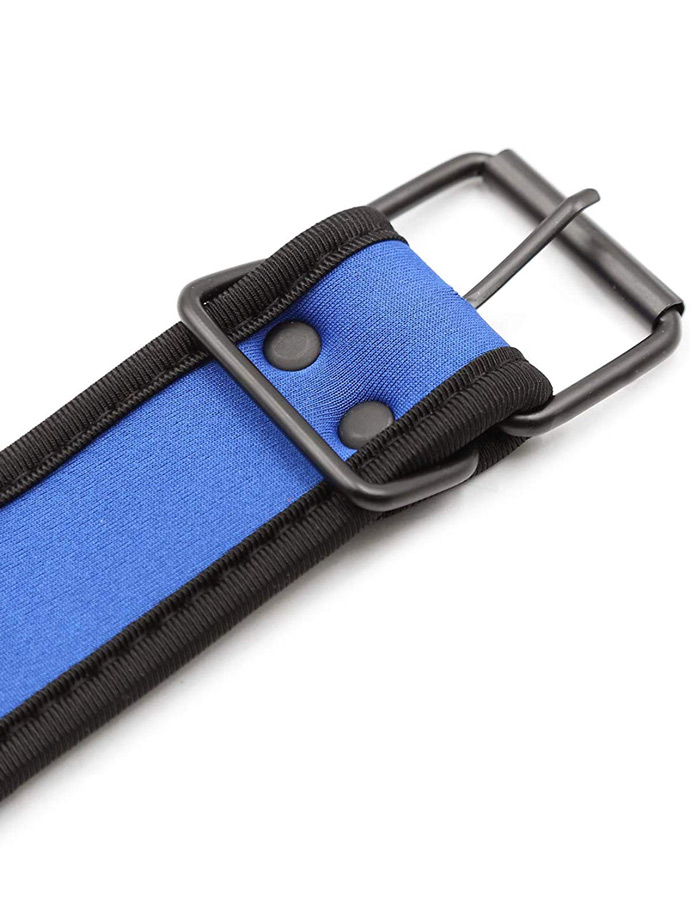 https://www.boutique-poppers.fr/shop/images/product_images/popup_images/collar-neopren-pupplay-puppy-choker-costume-blue__4.jpg