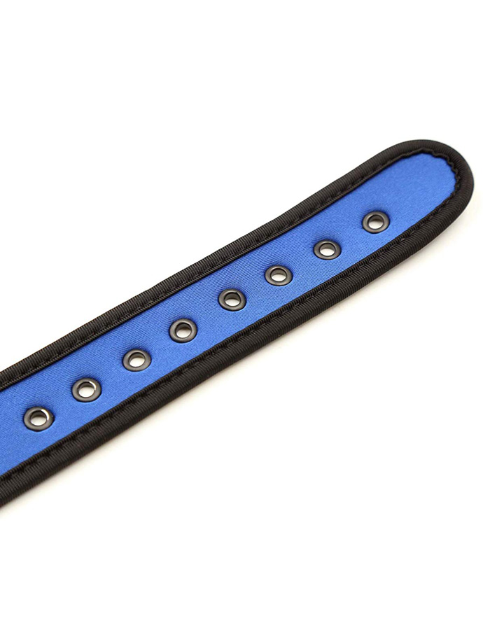 https://www.boutique-poppers.fr/shop/images/product_images/popup_images/collar-neopren-pupplay-puppy-choker-costume-blue__5.jpg