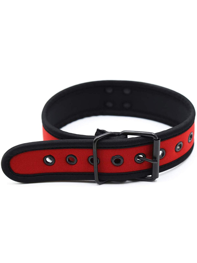 https://www.boutique-poppers.fr/shop/images/product_images/popup_images/collar-neopren-pupplay-puppy-choker-costume-red__3.jpg