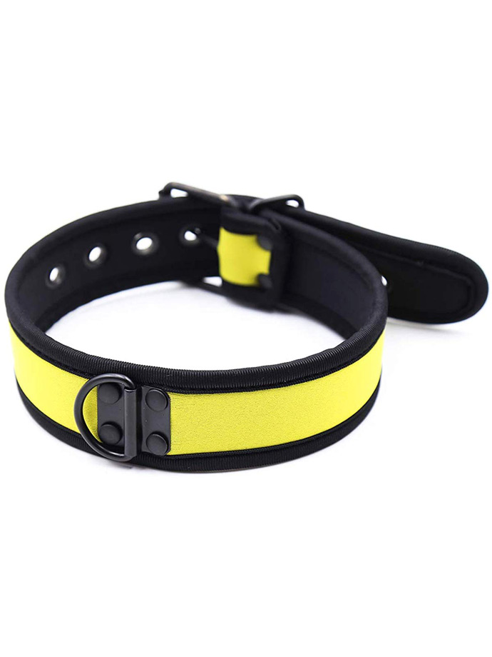 https://www.boutique-poppers.fr/shop/images/product_images/popup_images/collar-neopren-pupplay-puppy-choker-costume-yellow__2.jpg