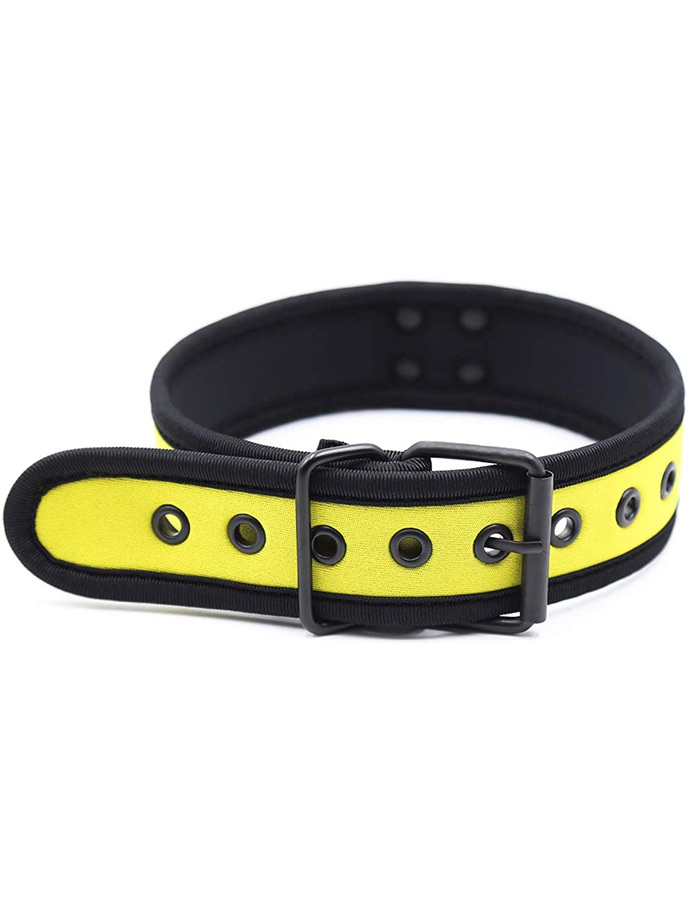 https://www.boutique-poppers.fr/shop/images/product_images/popup_images/collar-neopren-pupplay-puppy-choker-costume-yellow__3.jpg