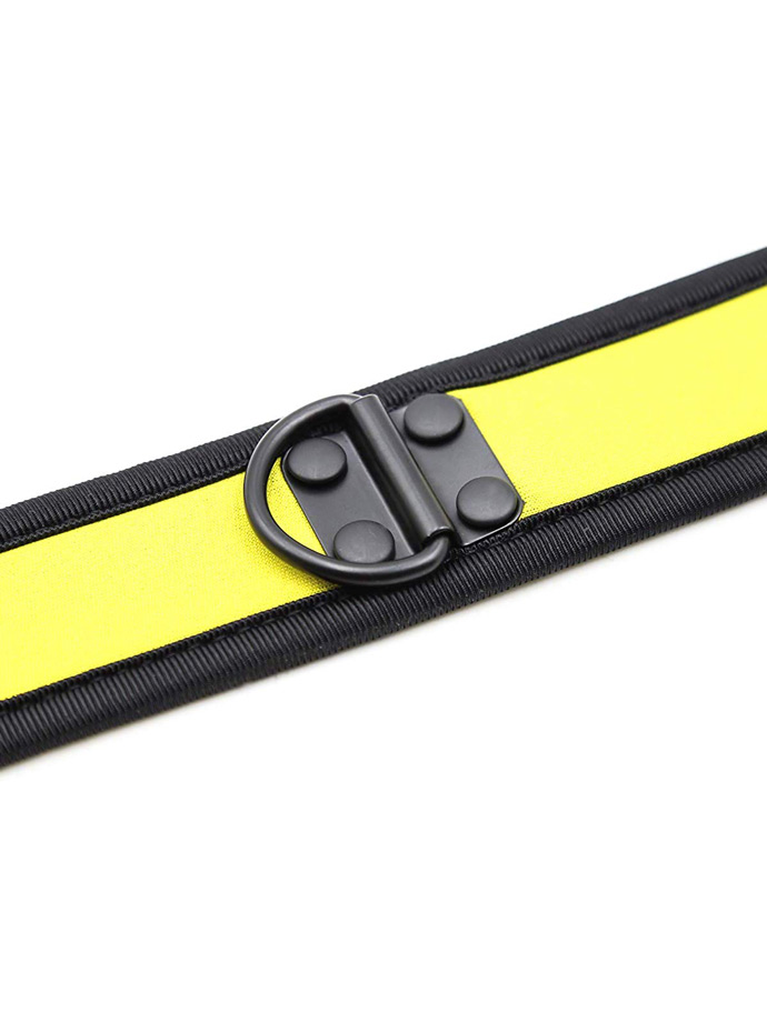 https://www.boutique-poppers.fr/shop/images/product_images/popup_images/collar-neopren-pupplay-puppy-choker-costume-yellow__4.jpg