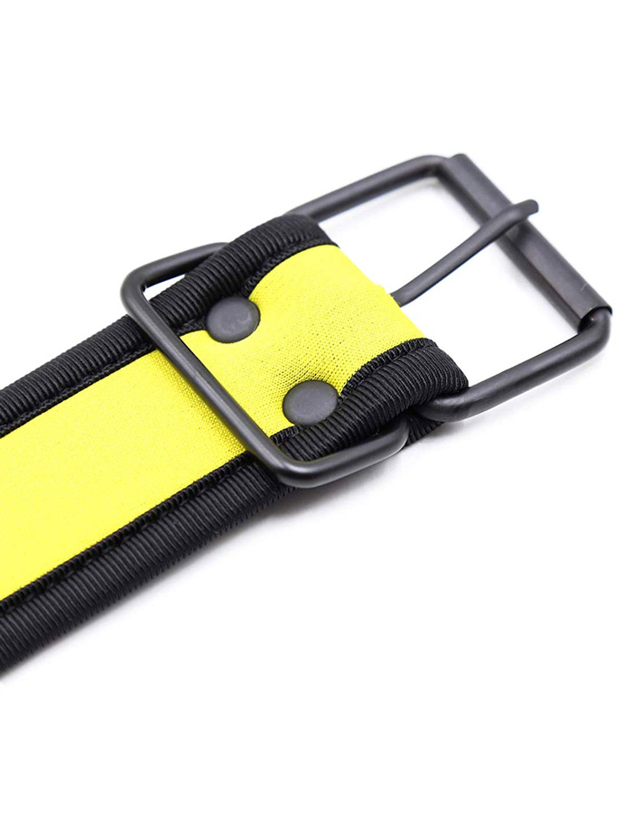 https://www.boutique-poppers.fr/shop/images/product_images/popup_images/collar-neopren-pupplay-puppy-choker-costume-yellow__5.jpg