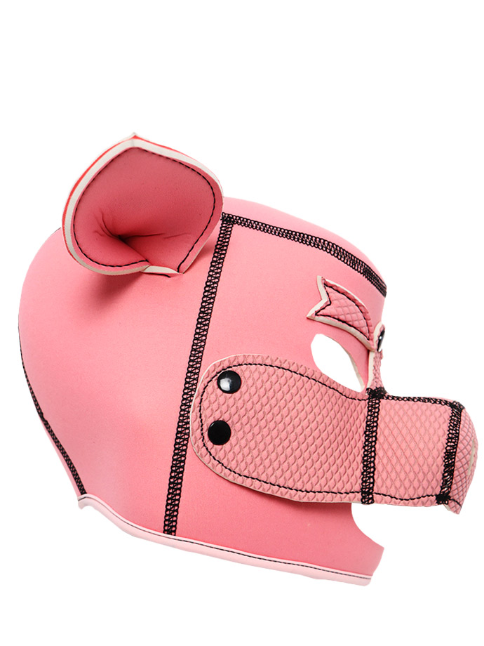 https://www.boutique-poppers.fr/shop/images/product_images/popup_images/fetish-piggy-maske__2.jpg