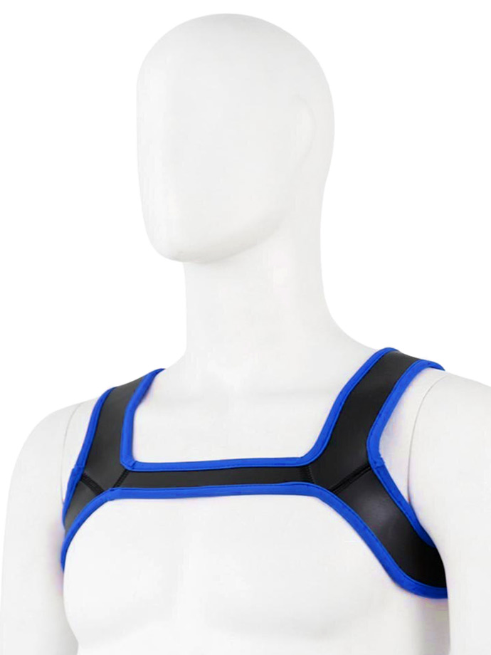 Puppy Dog Harnais en N�opr�ne - Bleu