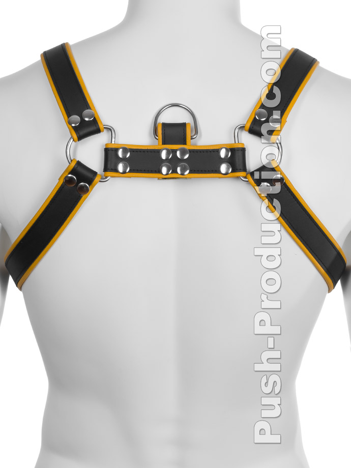 https://www.boutique-poppers.fr/shop/images/product_images/popup_images/leather-bdsm-top-harness-d-rings-yellow__2.jpg