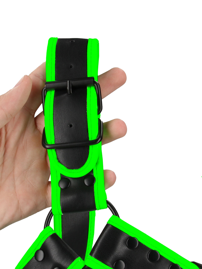 https://www.boutique-poppers.fr/shop/images/product_images/popup_images/ouch-buckle-bulldog-harness-glow-in-the-dark__3.jpg