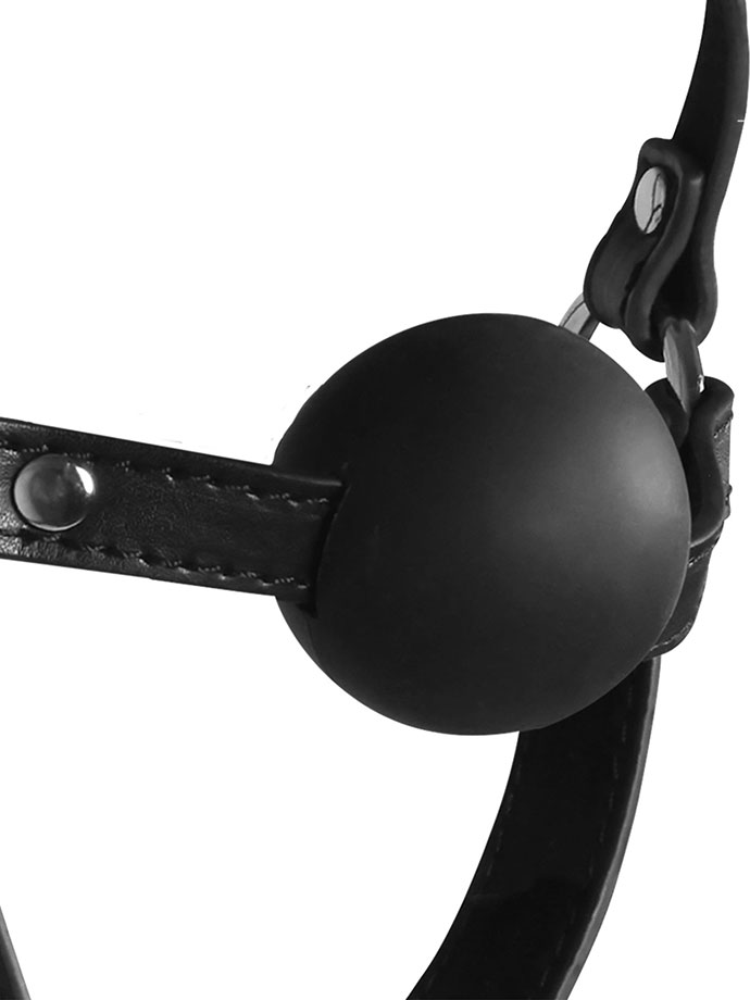 https://www.boutique-poppers.fr/shop/images/product_images/popup_images/ouch-xtreme-blindfolded-head-harness-ball-gag__4.jpg