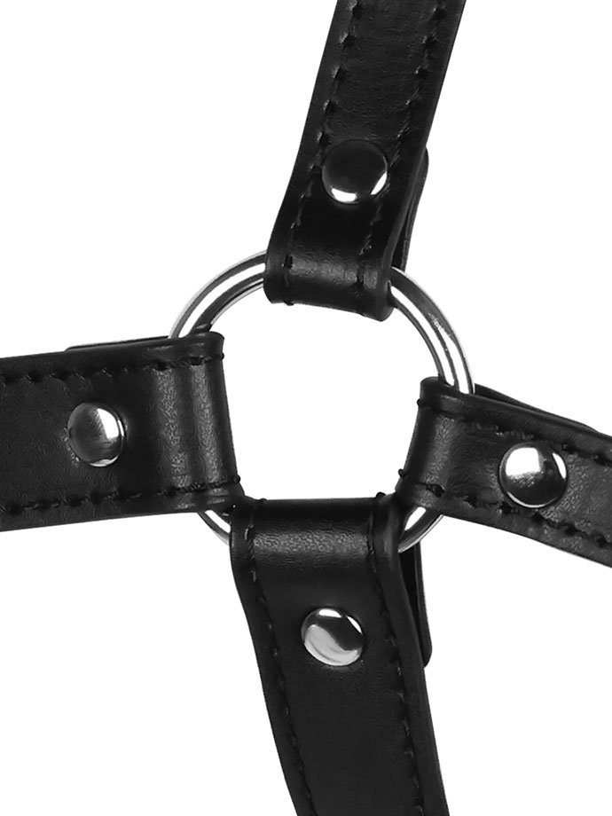 https://www.boutique-poppers.fr/shop/images/product_images/popup_images/ouch-xtreme-blindfolded-head-harness-ball-gag__5.jpg