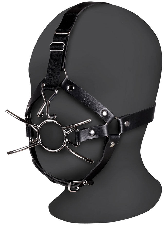 https://www.boutique-poppers.fr/shop/images/product_images/popup_images/ouch-xtreme-head-harness-spider-gag-nose-hooks__1.jpg