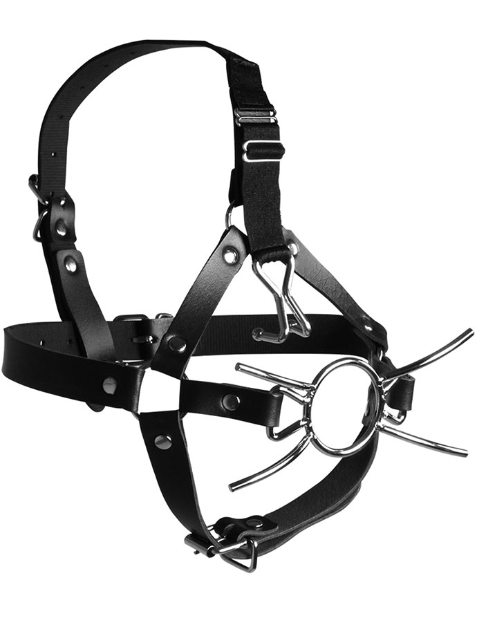 https://www.boutique-poppers.fr/shop/images/product_images/popup_images/ouch-xtreme-head-harness-spider-gag-nose-hooks__2.jpg