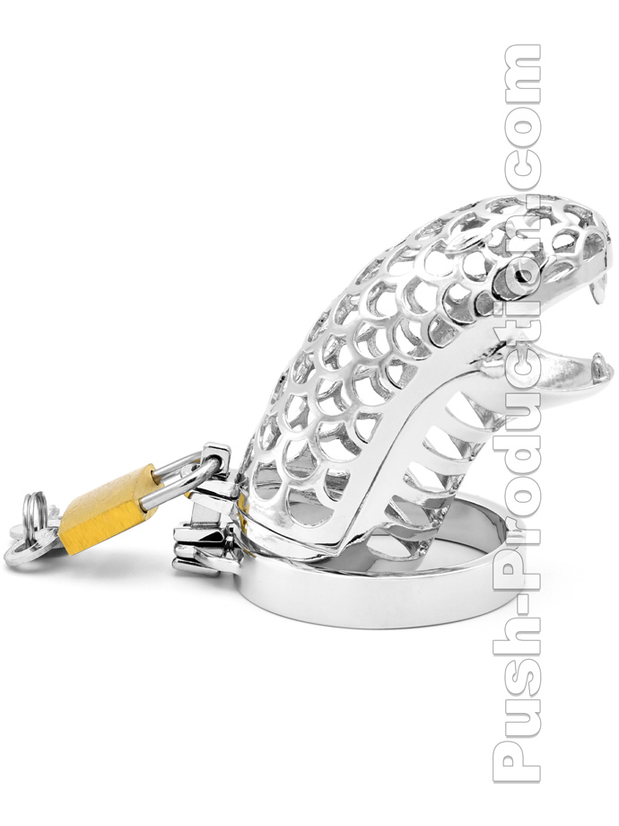 https://www.boutique-poppers.fr/shop/images/product_images/popup_images/penis-cage-snake-chastity-edelstahl-peniskaefig-keuschheit__2.jpg