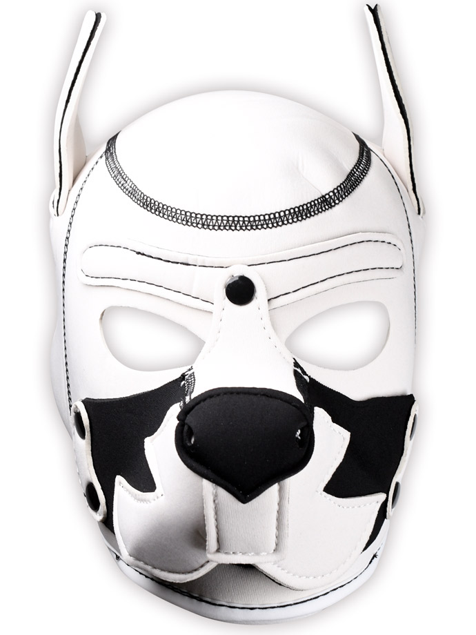 https://www.boutique-poppers.fr/shop/images/product_images/popup_images/pupplay-hundemaske-fox-terrier__1.jpg