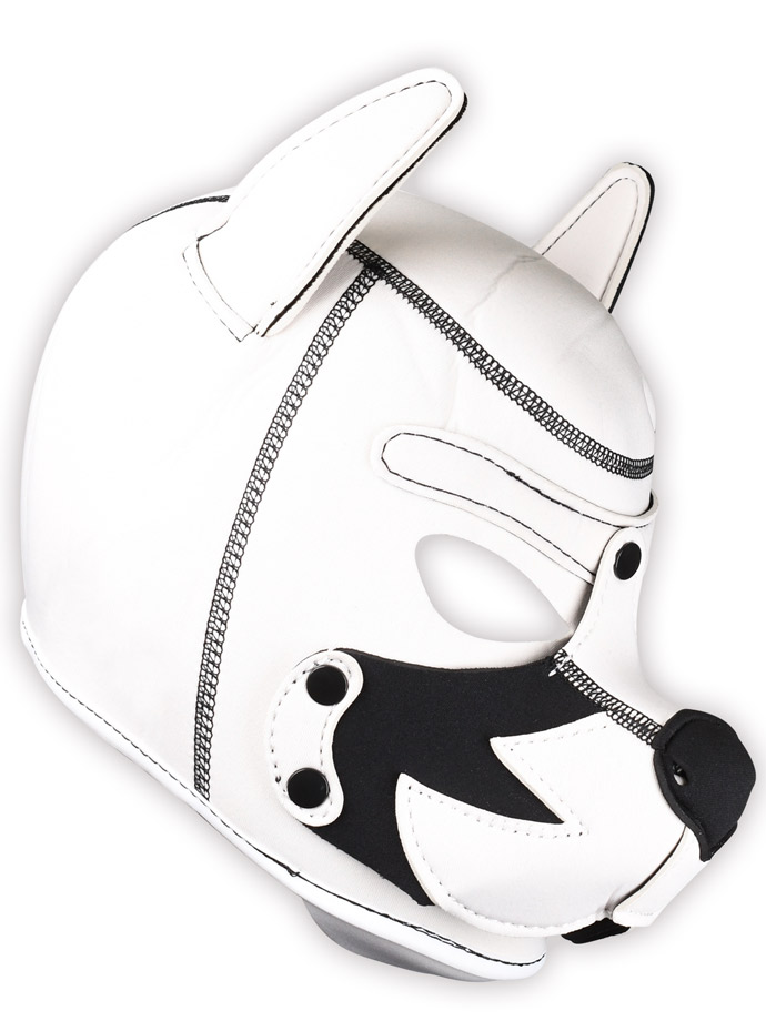 https://www.boutique-poppers.fr/shop/images/product_images/popup_images/pupplay-hundemaske-fox-terrier__2.jpg