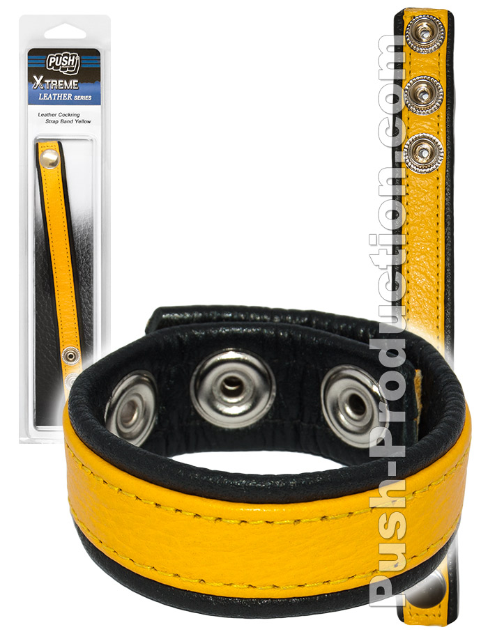 https://www.boutique-poppers.fr/shop/images/product_images/popup_images/push_xtreme-leather-cockring-strap-band-yellow-black.jpg