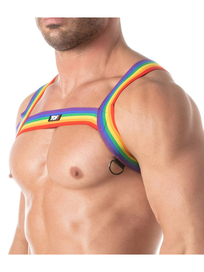 https://www.boutique-poppers.fr/shop/images/product_images/popup_images/rainbow-chest-harness__1.jpg