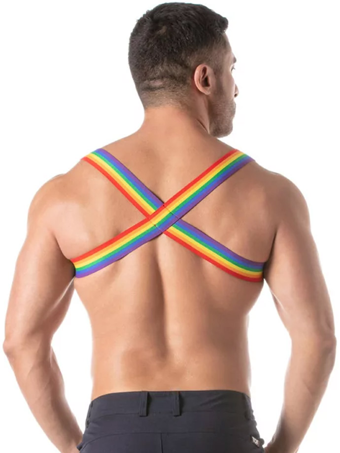 https://www.boutique-poppers.fr/shop/images/product_images/popup_images/rainbow-chest-harness__2.jpg