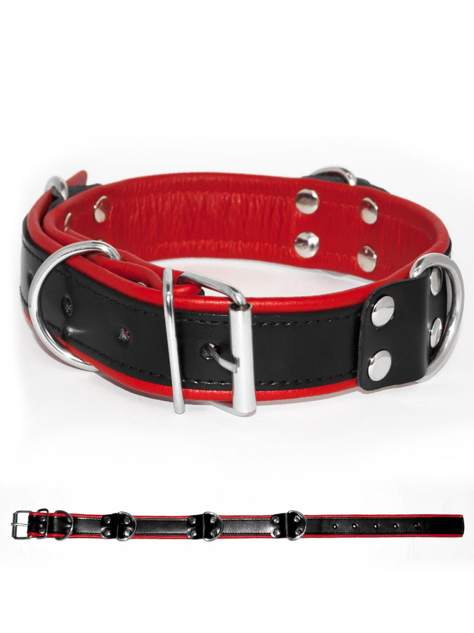 https://www.boutique-poppers.fr/shop/images/product_images/popup_images/tci-9760b-sm-halsband-schwarz-rot.jpg