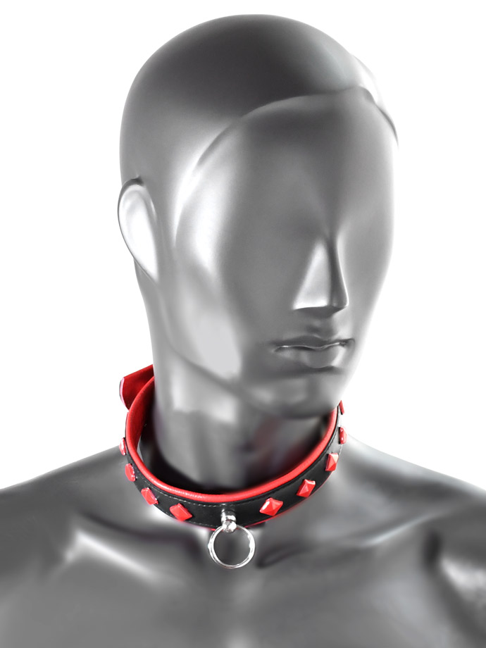 https://www.boutique-poppers.fr/shop/images/product_images/popup_images/tci-9768-collar-back-red__1.jpg