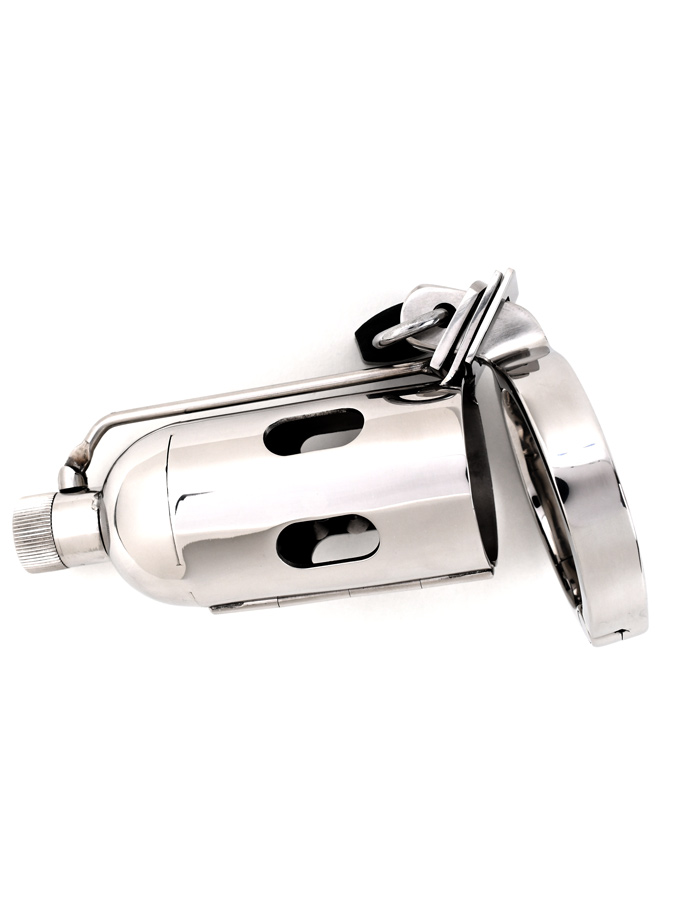 Cage P�nis Spiked Pleasure Dome