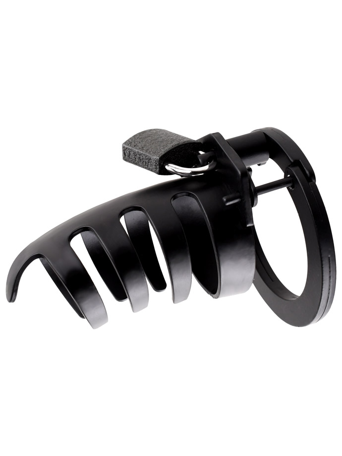 https://www.boutique-poppers.fr/shop/images/product_images/popup_images/tms-1332-skeleton-cock-cage-black__2.jpg