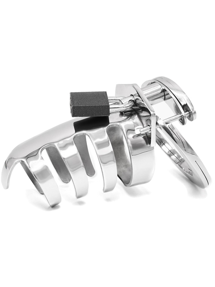 https://www.boutique-poppers.fr/shop/images/product_images/popup_images/tms-1332-skeleton-metal-cock-cage__2.jpg