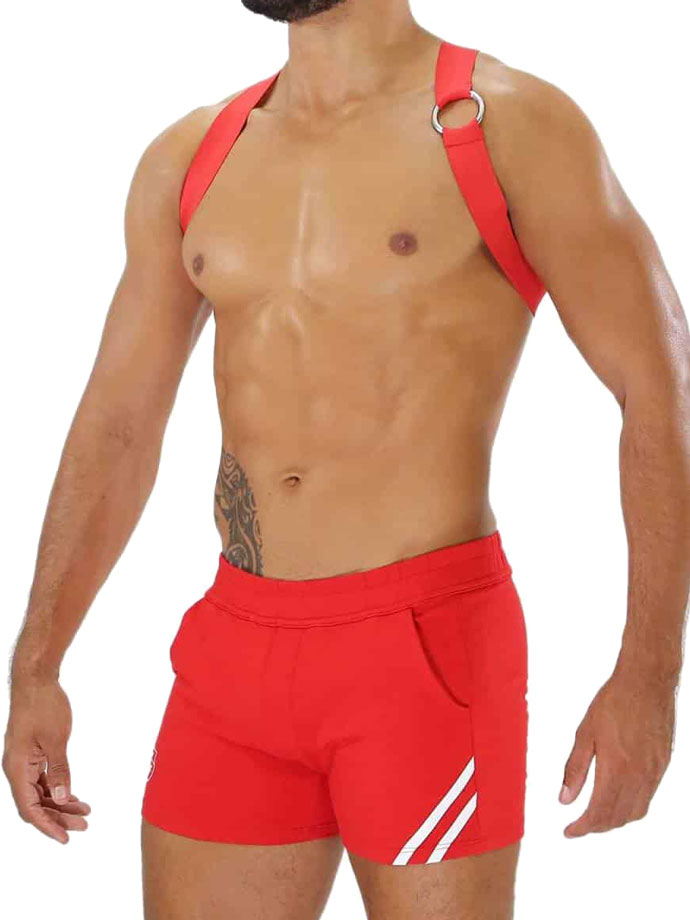 https://www.boutique-poppers.fr/shop/images/product_images/popup_images/tof-paris-party-boy-elastic-harness-red__2.jpg