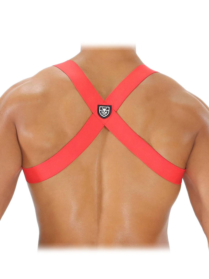 https://www.boutique-poppers.fr/shop/images/product_images/popup_images/tof-paris-party-boy-elastic-harness-red__3.jpg