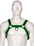 Club Echtleder Harness - Schwarz/Gr�n