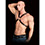 Harnais Adonis noir Ouch!