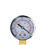 Pumped - Elite Beginner Pump with PSI Gauge