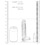 RealRock - Dildo 6 inch & Balls - Crystal Clear