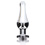 Diamond Bum Bijou Large